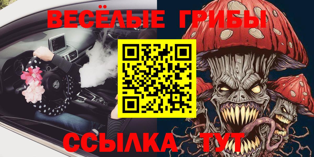 Галлюциногенные грибы Psilocybe  Вход с VPN  Псилоцибиновые грибы Psilocybine cubensis  Вятские Поляны 